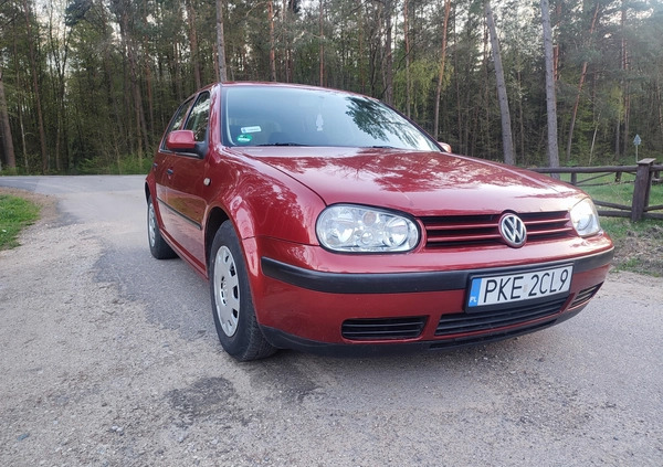 Volkswagen Golf cena 6100 przebieg: 187000, rok produkcji 1998 z Żukowo małe 466